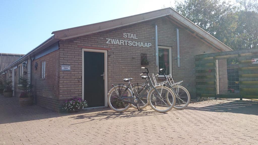 Ferienwohnung Stal Zwartschaap Stuifzand Exterior foto