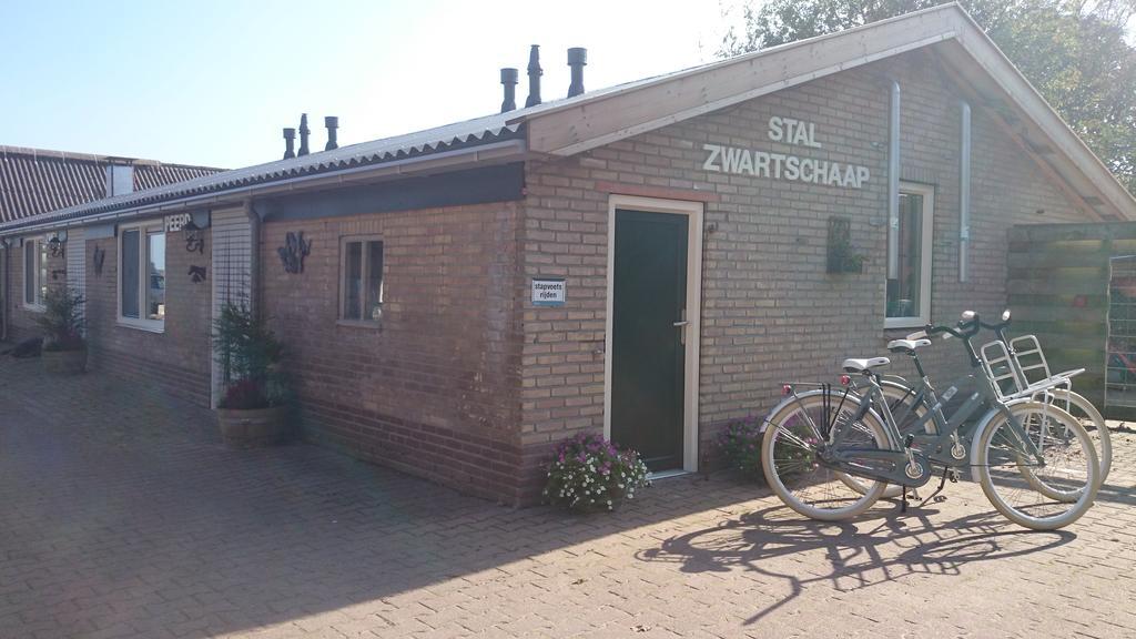 Ferienwohnung Stal Zwartschaap Stuifzand Exterior foto