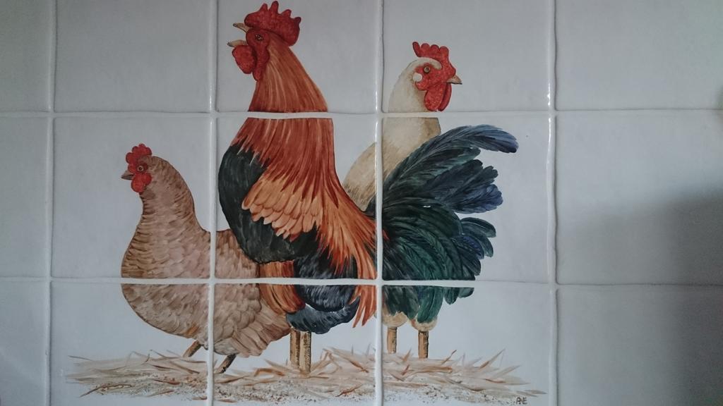 Ferienwohnung Stal Zwartschaap Stuifzand Zimmer foto